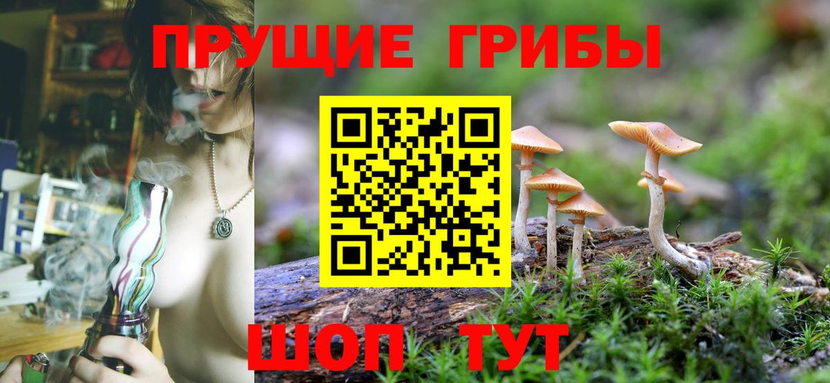 Прохладный  Псилоцибиновые грибы ЛСД  Вход с VPN 